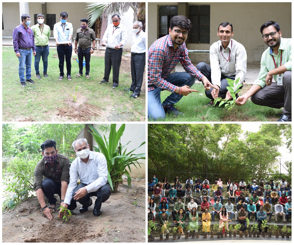 A Report on Tree Plantation 2021