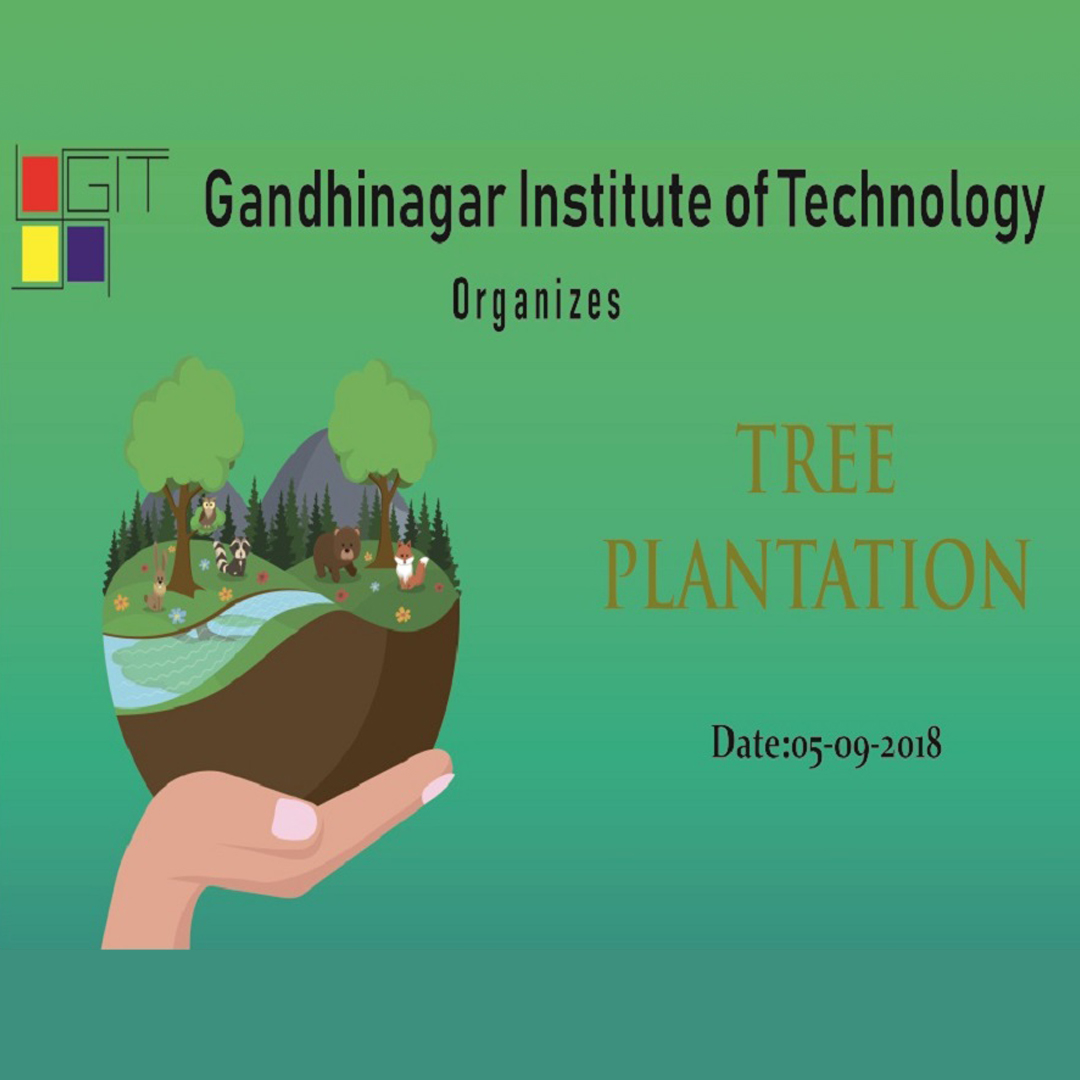 Tree Plantation
